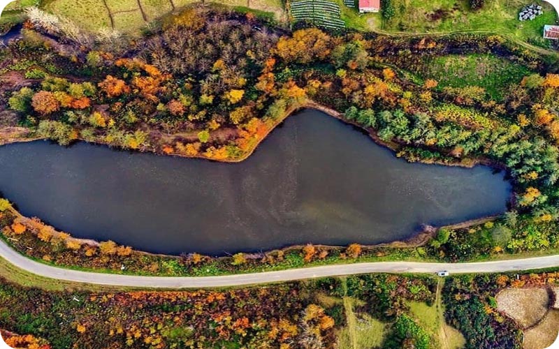 تالاب سوستان؛ تنوع زیستی در قاب تصویر