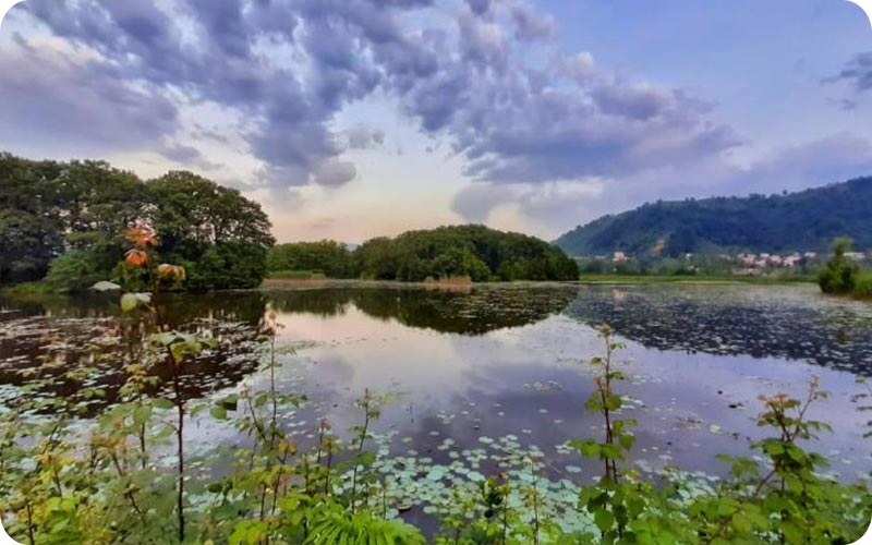 تالاب سوستان: نگینی در دل گیلان