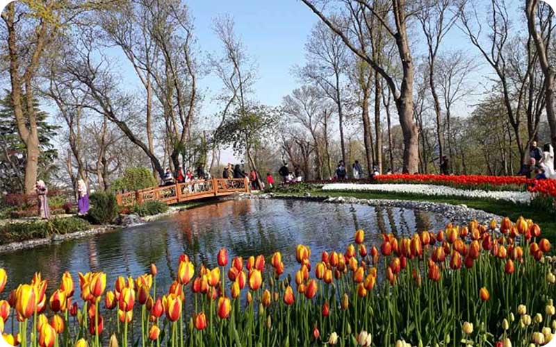 این تصاویر شما را وسوسه میکنند به پارک امیرگان سفر کنید!