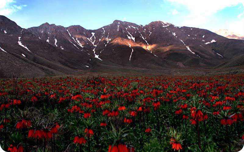 خوانسار در چهار فصل: تصویری از زیباییهای بیپایان