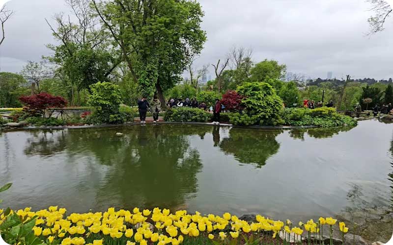 گالری تصاویر پارک امیرگان استانبول؛ طبیعت، تاریخ و رنگها