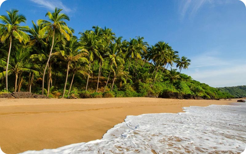 شهر گوا هند