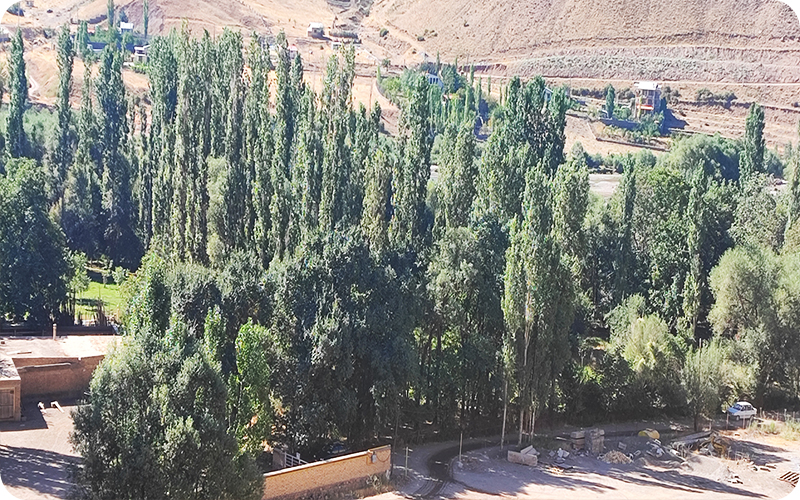 زندگی در ایستا، روایتی از سکون و آرامش