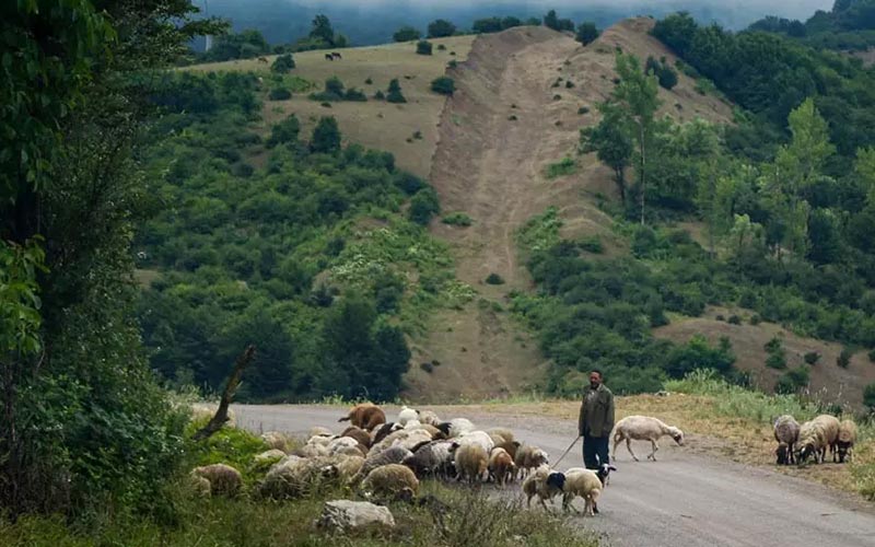 نگاهی به فرهنگ بومی مردم داماش