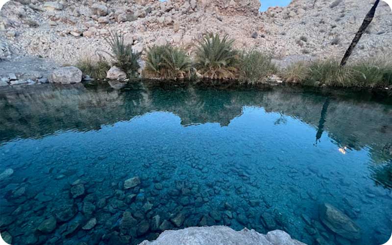 افسون سبز: نگاهی نزدیک به چشمه سبز پوشان