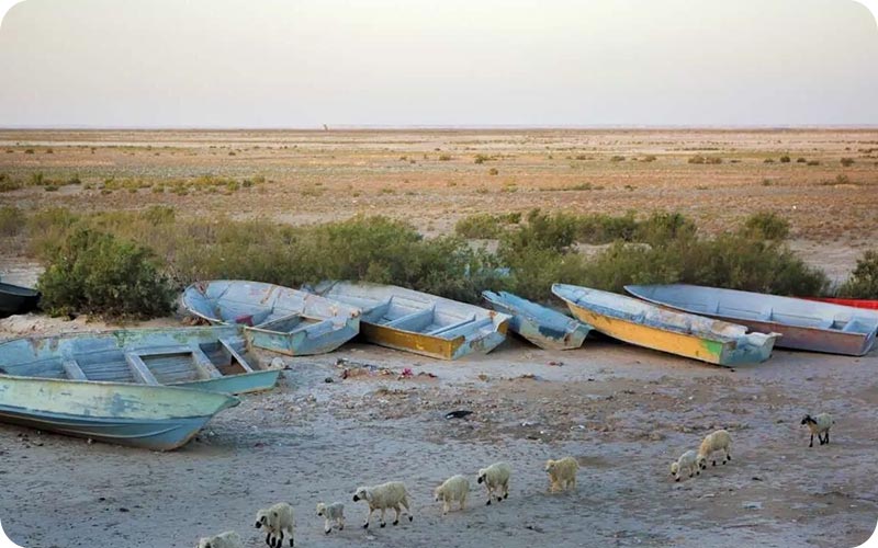 تالاب هامون