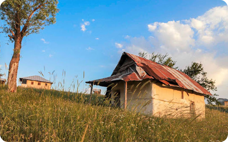 عکس‌های بکر از کردکوی؛ جنگل، آبشار، کوه و ییلاقات در یک قاب