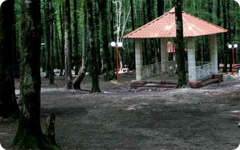 گالری کردکوی؛ نمایی از بهشت پنهان شمال ایران