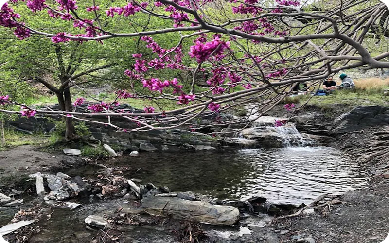 گالری تصاویر دره ارغوان مشهد؛ بهشتی در دل کوههای بینالود
