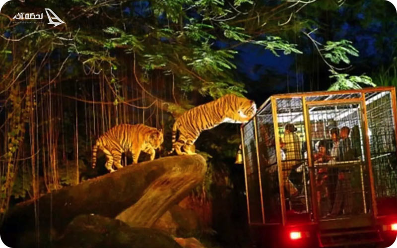 آدرس نایت سافاری سنگاپور	