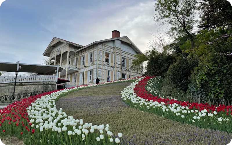 رنگهای زندگی در پارک امیرگان؛ تماشای بهار در یک گالری