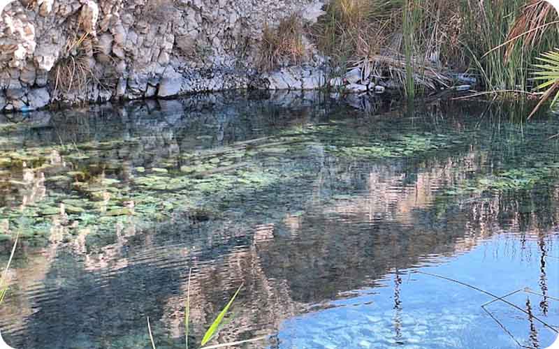 انعکاس بهشت: زیباییهای چشمه سبز پوشان