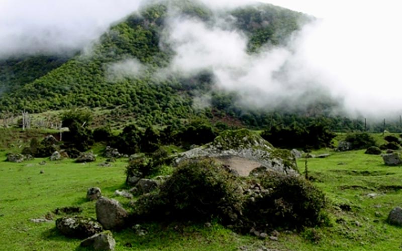 طبیعت بکر و سرسبز روستای داماش