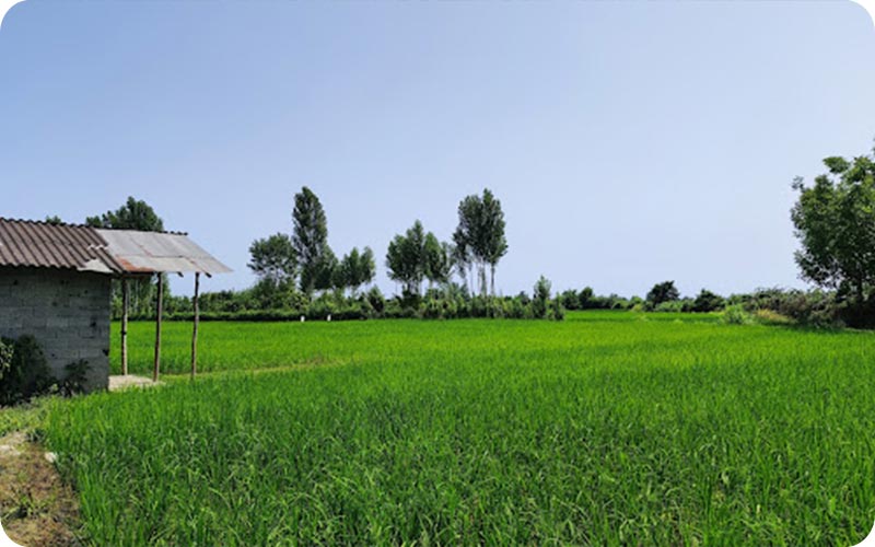 نشتارود، در قاب تصویر