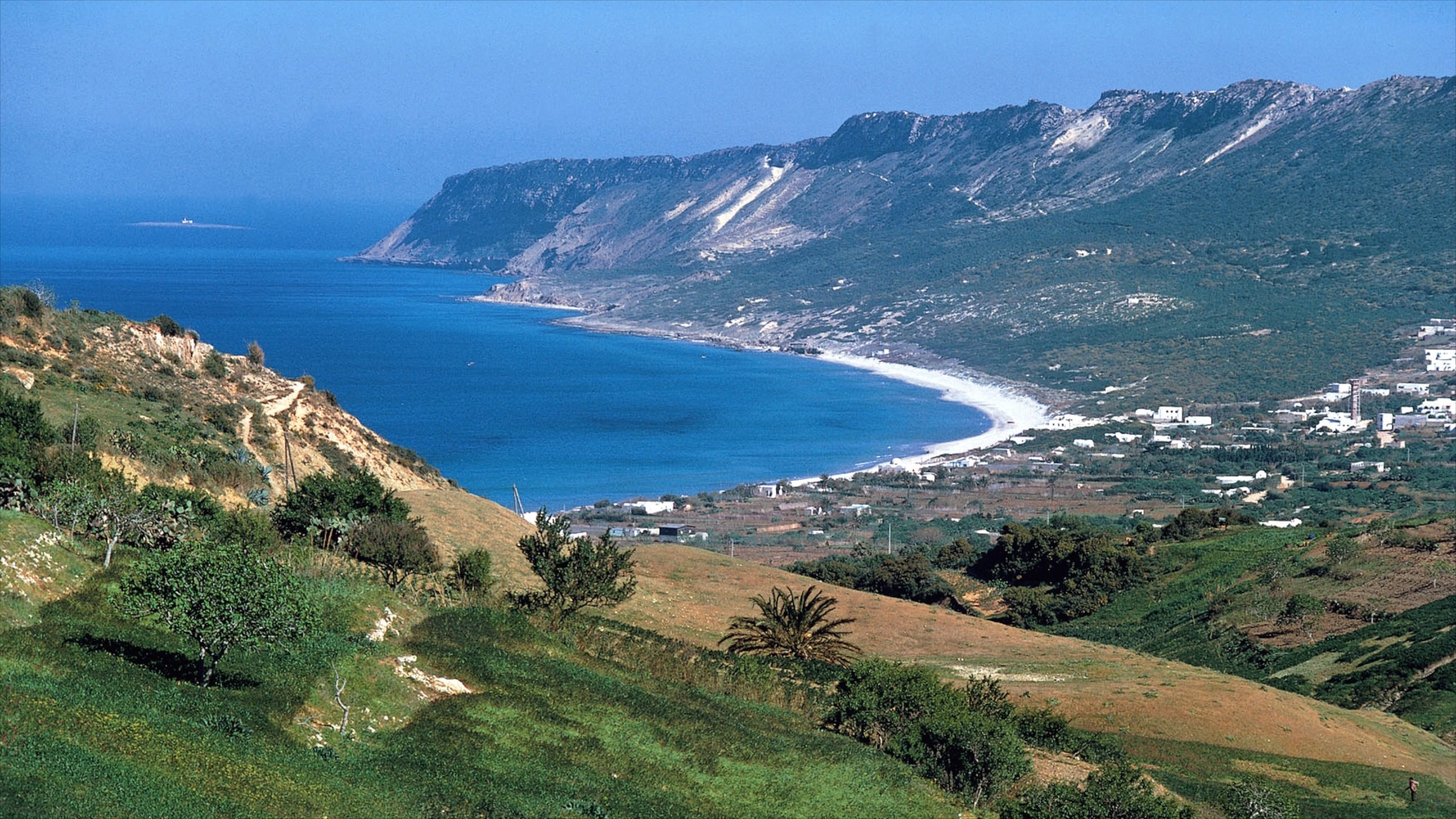 طبیعت کشور تونس