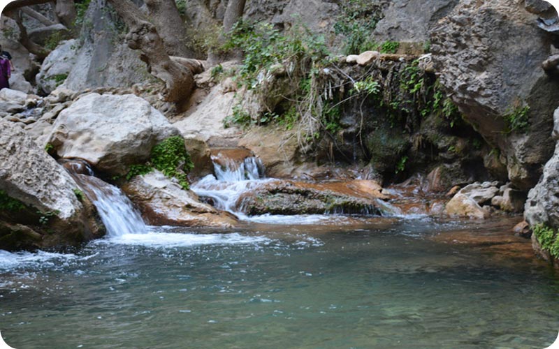 زیباییهای پنهان تامرادی