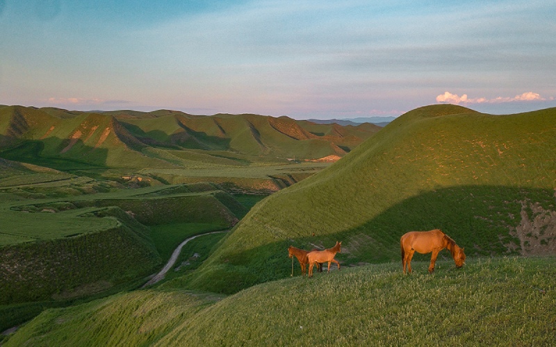 بندر ترکمن؛ از تاریخ کهن تا زیبایی‌های طبیعی