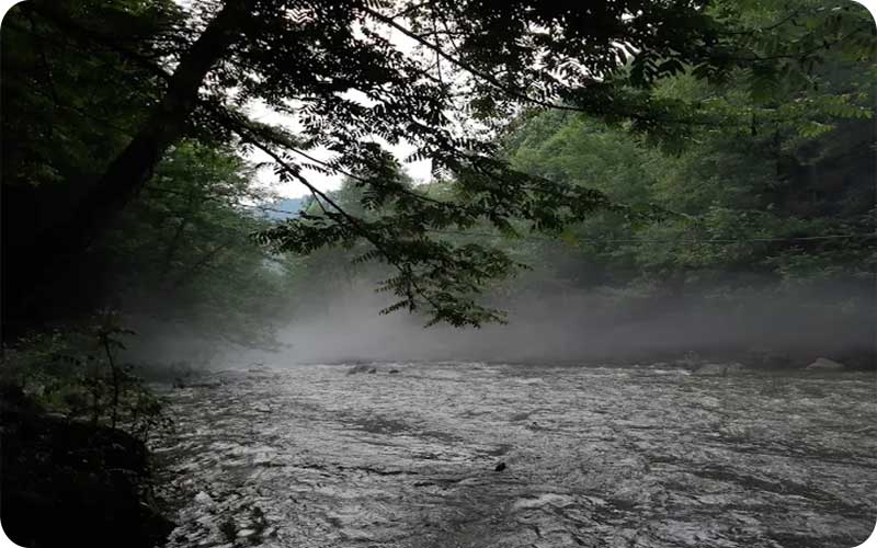 آرامش در قاب تصویر؛ آبشار ترز مازندران