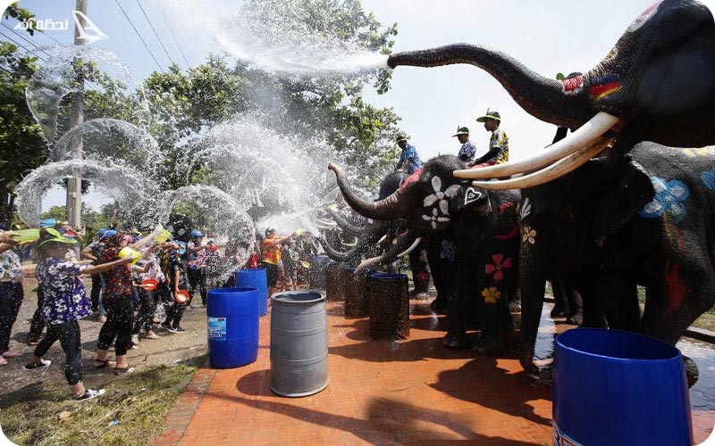 فستیوال فیل تایلند