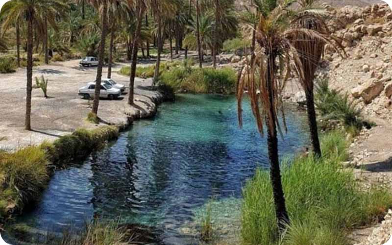 جادوی رنگها در چشمه سبز پوشان