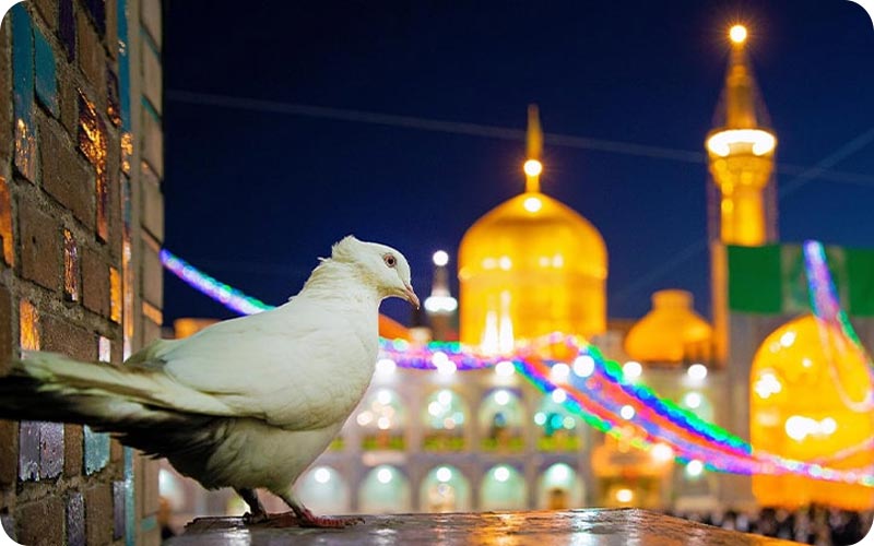شهر مشهد | همه چیز درباره آن + جاذبه ها، مساحت، جمعیت + عکس | لحظه آخر