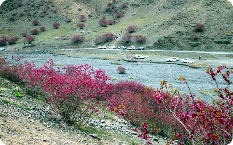 دره ارغوان مشهد از قاب دوربین گردشگران
