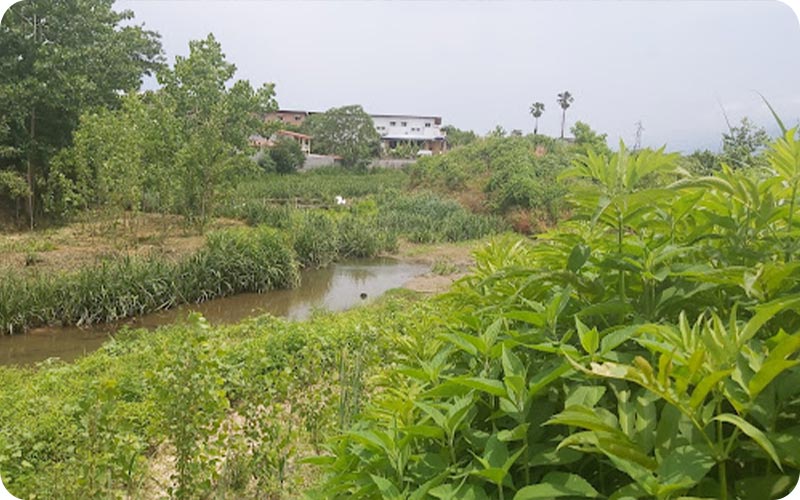 نشتارود، خاطرات رنگارنگ