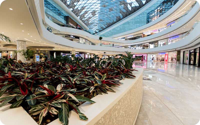 گشت و گذار در فروشگاه‌های وادی استانبول