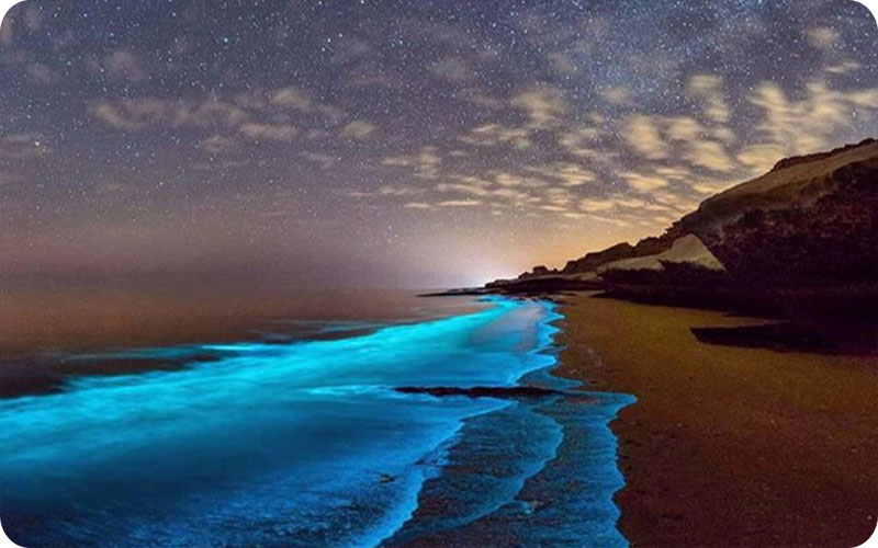 ساحل بریس در شب