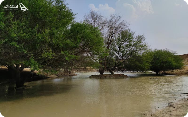 عکس ژئو پارک قشم