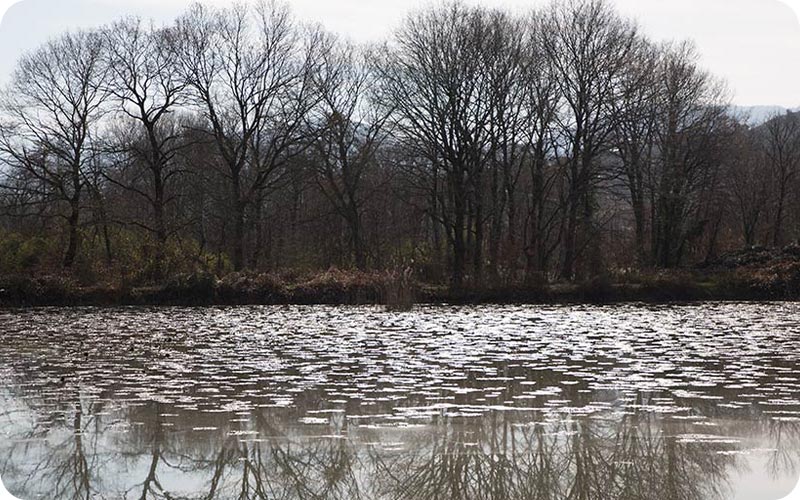 سفر به تالاب سوستان؛ دنیایی از آرامش و زیبایی