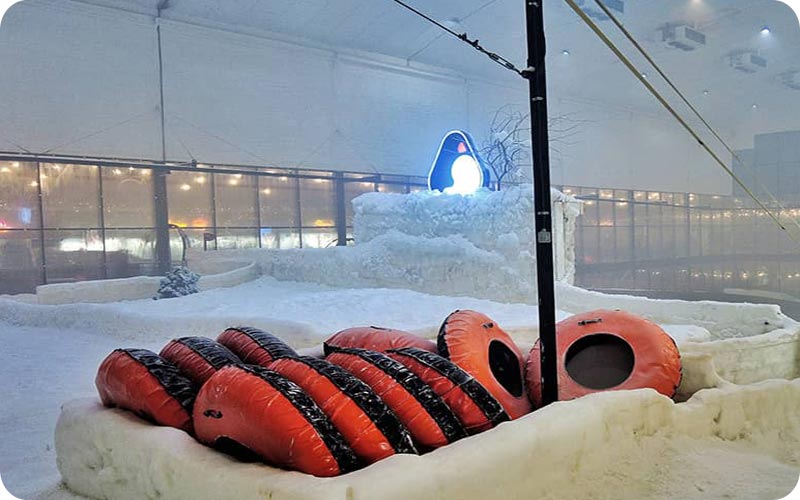 کیش سفیدپوش: جادوی زمستان در پارک برفی