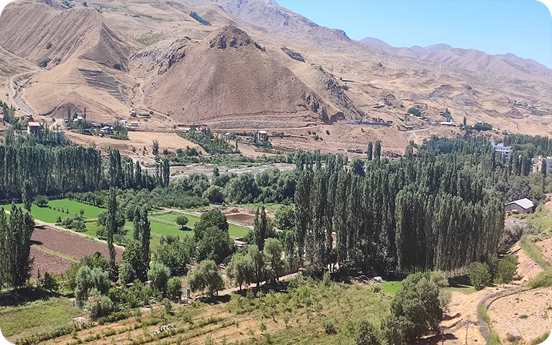 سکوت ایستا، نوای دلنشین طبیعت
