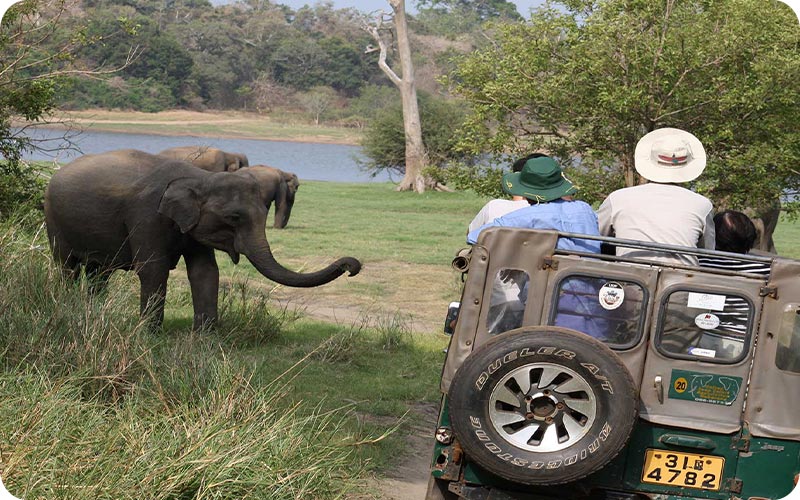 شگفتیهای حیات وحش در باغ وحش دبی
