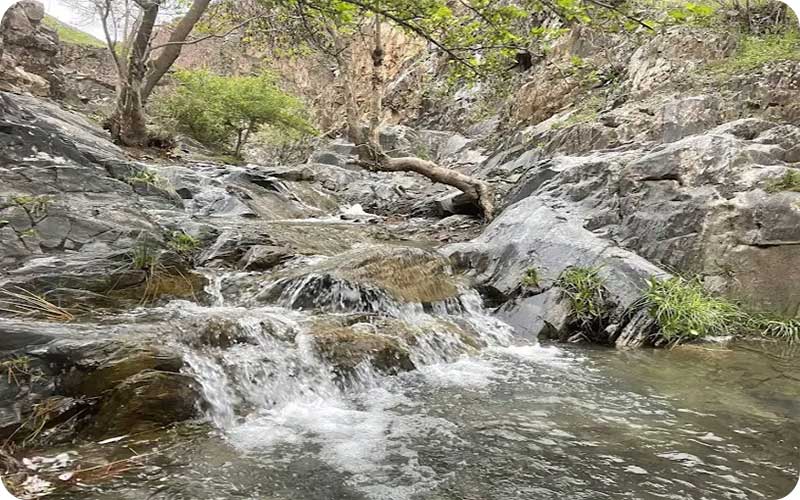 نمایی کامل از طبیعت بکر دره ارغوان مشهد (گالری تصویری)