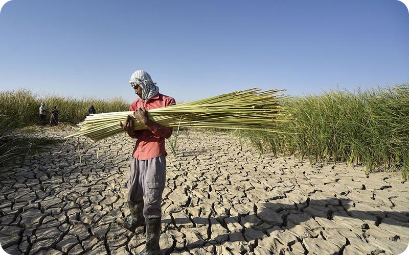 دریاچه هامون سیستان و بلوچستان