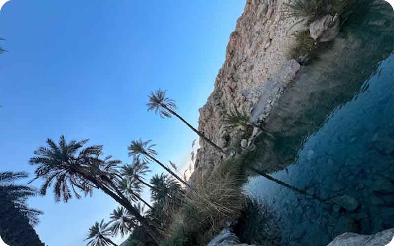 نبض سبز طبیعت: تصاویری از چشمه سبز پوشان