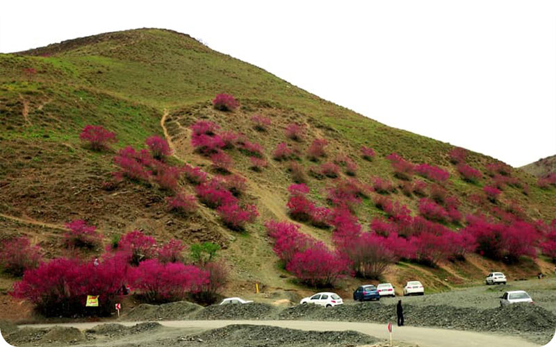 گالری عکس طبیعت گردی در دره ارغوان مشهد