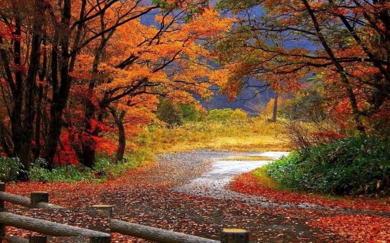 زیبایی های طبیعت بندر ترکمن