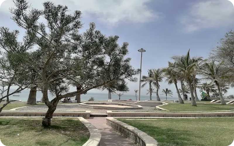 تصاویر پارک زیتون قشم | گشتوگذاری تصویری در قلب طبیعت قشم