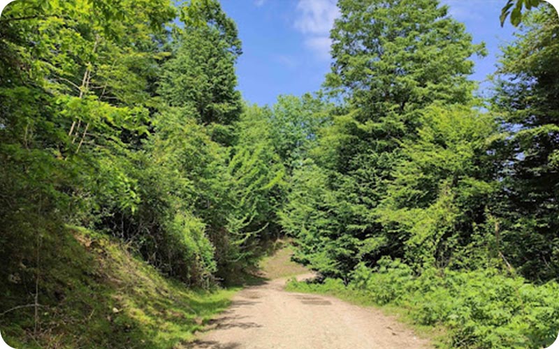 نشتارود، نگینی در ساحل خزر