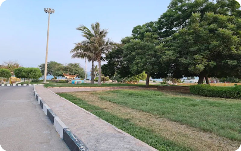 گالری عکس پارک زیتون قشم؛ نمایی نزدیک از این پارک ساحلی زیبا