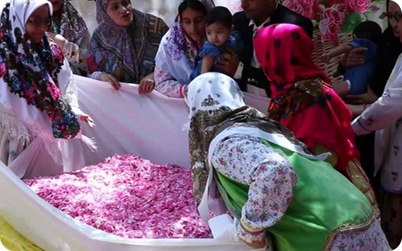 آئیین گلاب گیری